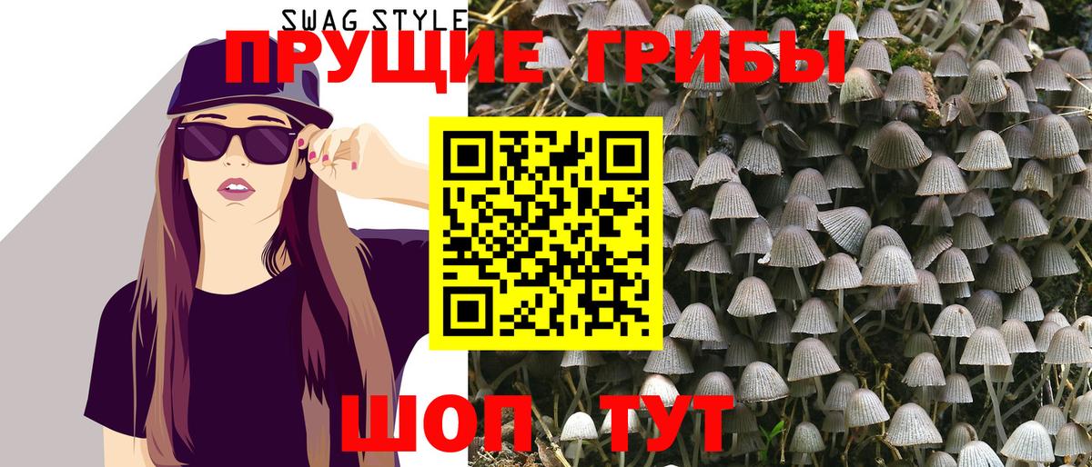 Псилоцибиновые грибы Psilocybe Новодвинск